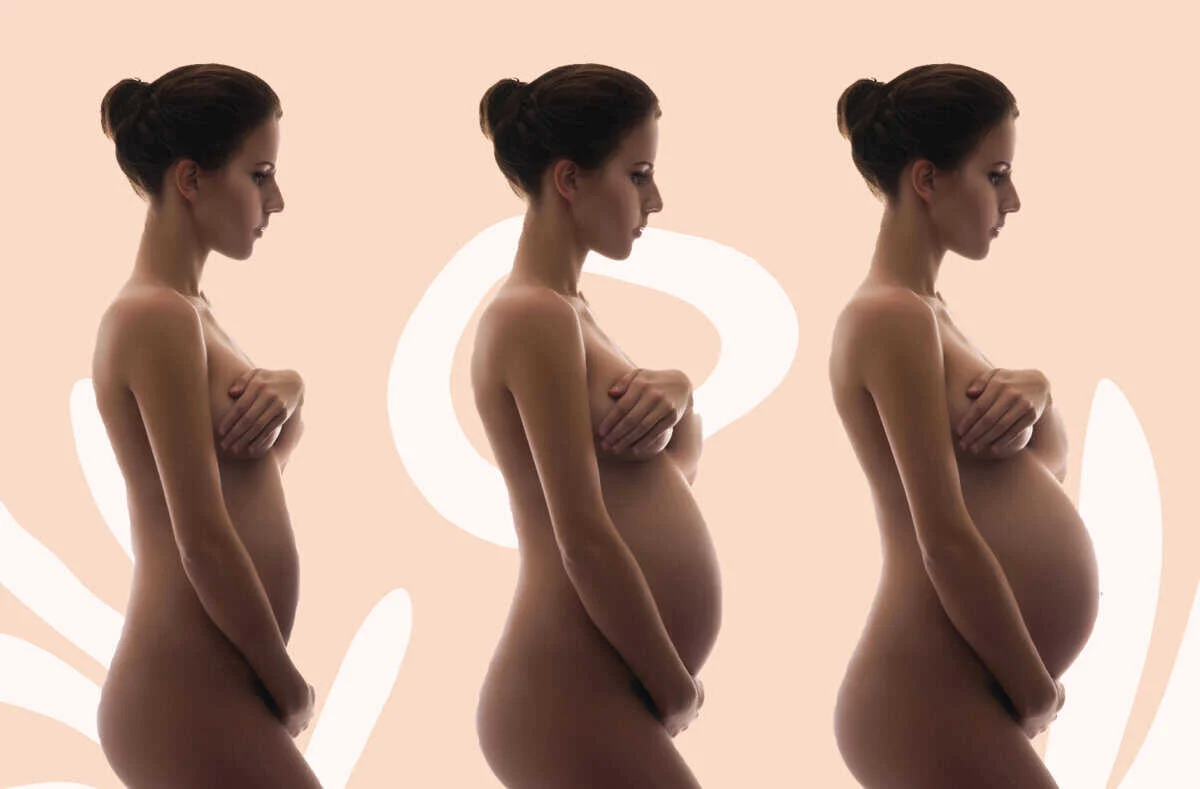 Pregnant woman belly