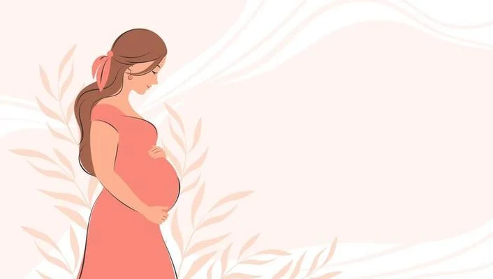 Pregnant woman belly