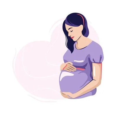 Pregnant woman belly
