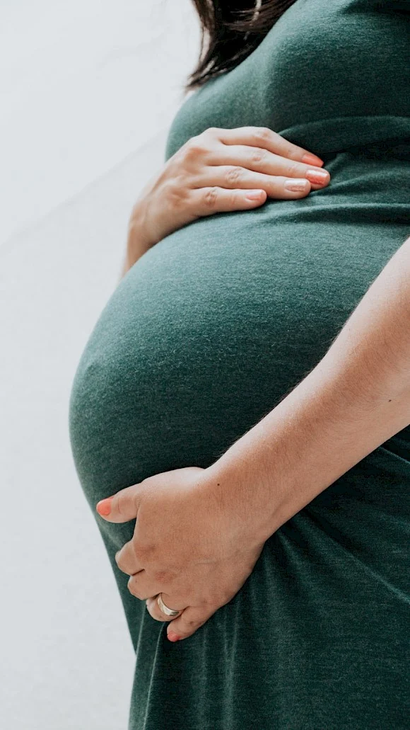 Pregnant woman belly