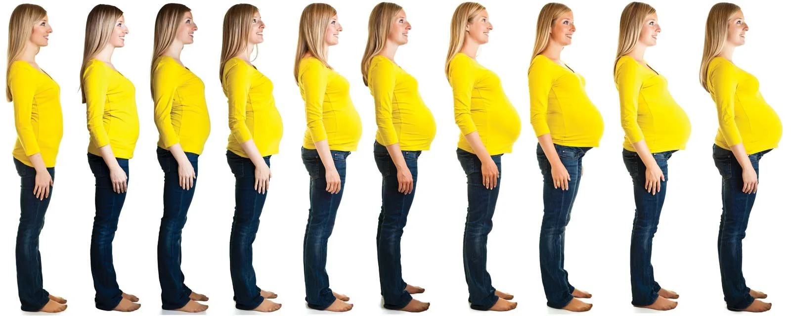 Pregnant woman belly